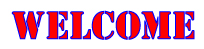 Grand Blanc Storage Welcome logo
